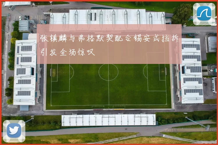 张镇麟与弗格默契配合锡安式挡拆引发全场惊叹