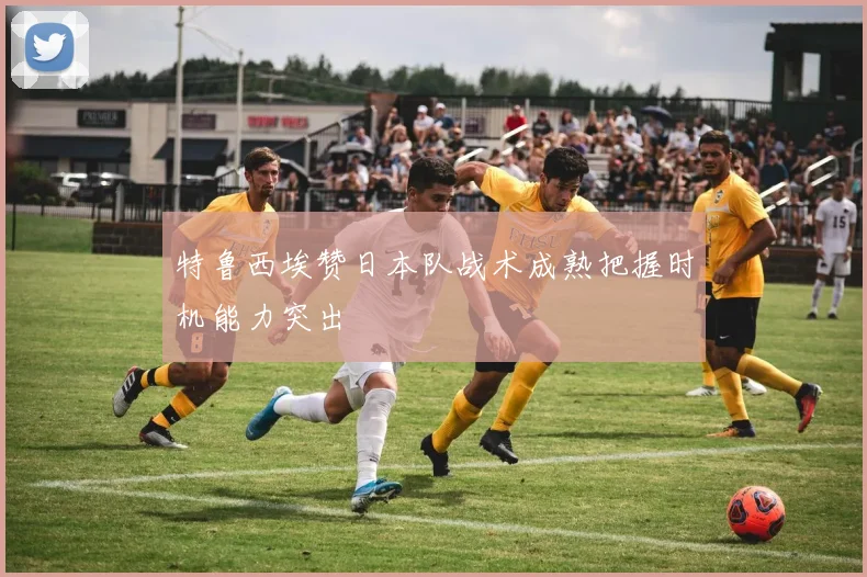 特鲁西埃赞日本队战术成熟把握时机能力突出