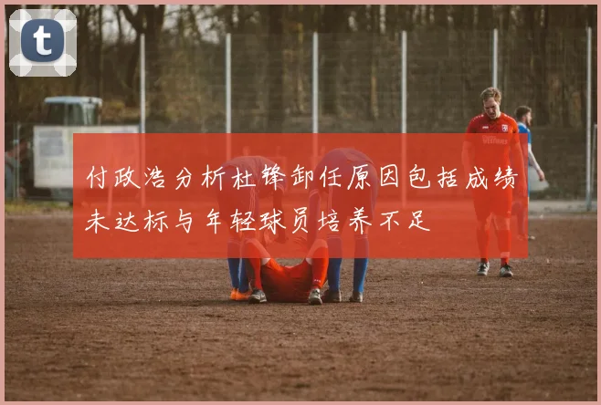 付政浩分析杜锋卸任原因包括成绩未达标与年轻球员培养不足