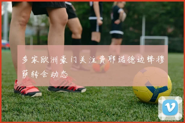 多家欧洲豪门关注费耶诺德边锋穆萨转会动态